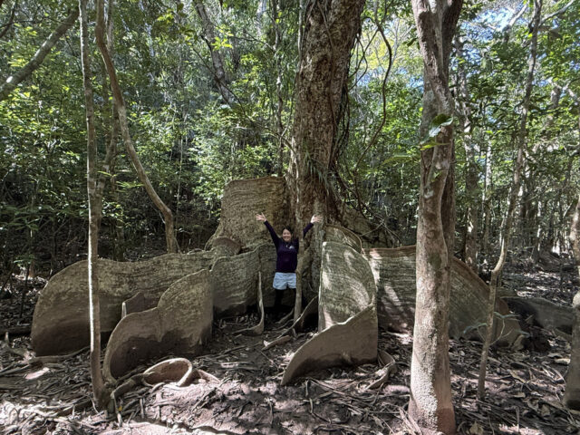 ピナイサーラの滝　滝上　滝壺