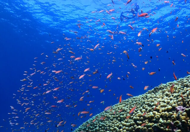 ピナイサーラの滝　シュノーケル