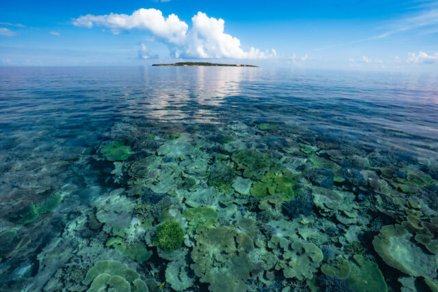 ピナイサーラの滝　シュノーケル