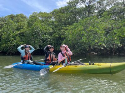 マングローブカヌー