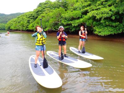 【西表島大原港/1日】仲間川マングローブをカヌー・SUPで大冒険☆滝つぼキャニオニングで水遊びも満喫！＜プロガイド同行＆写真無料プレゼント＞