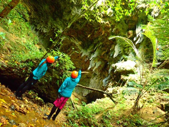 シャワートレッキング 西表島