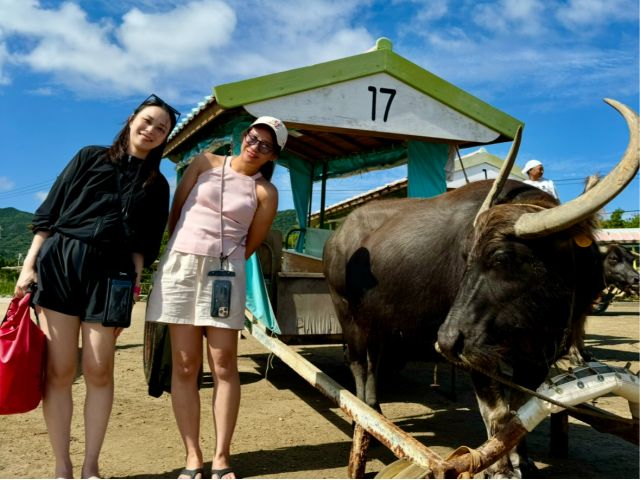 沖縄旅行者必見！西表島の地震リスクと安全に楽しむための心得