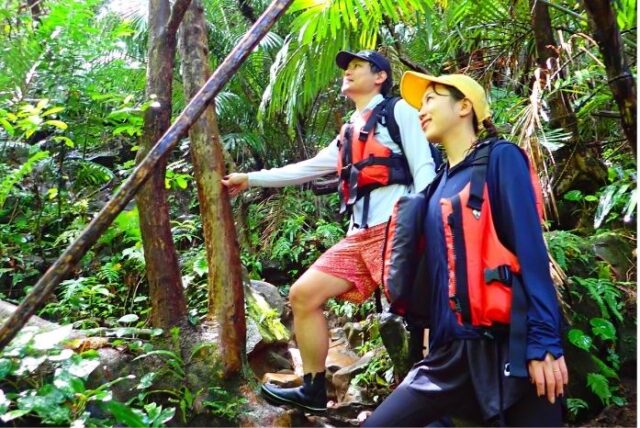 西表島 ジャングル トレッキング