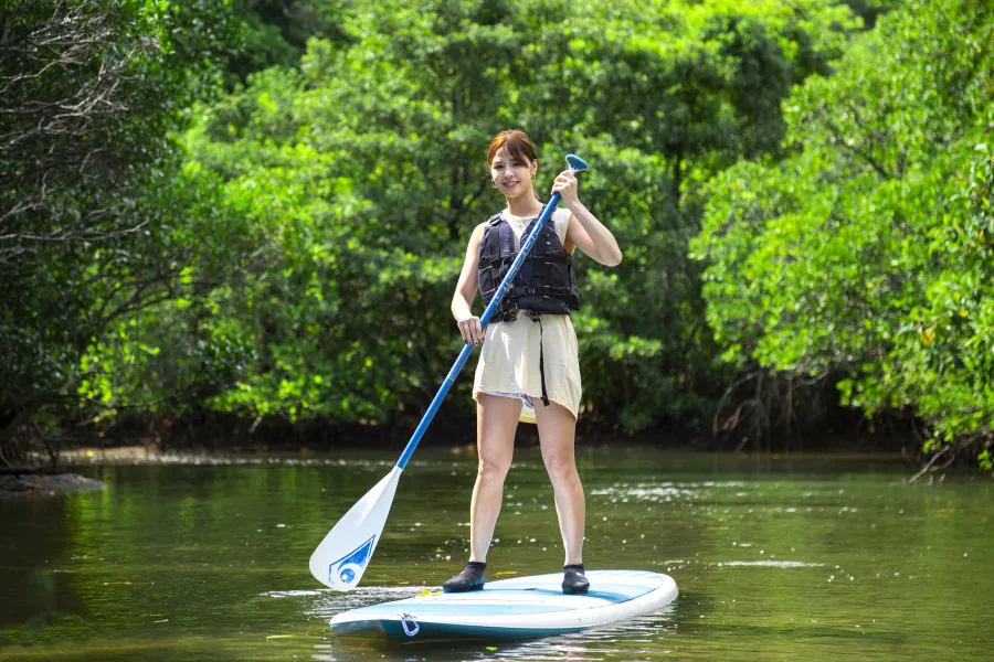 マングローブ、SUP,カヤック、カヌー、チャーター