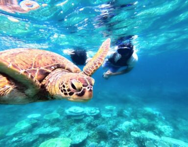 【ツアーズ限定割引】西表島⇆石垣島フェリーチケット付き★秘境×絶景を満喫！水落の滝マングローブSUP/カヌー＆奇跡の島『バラス島』シュノーケリングツアー★写真無料