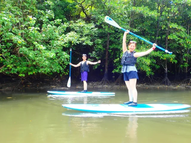 マングローブ、SUP,カヤック、カヌー、チャーター