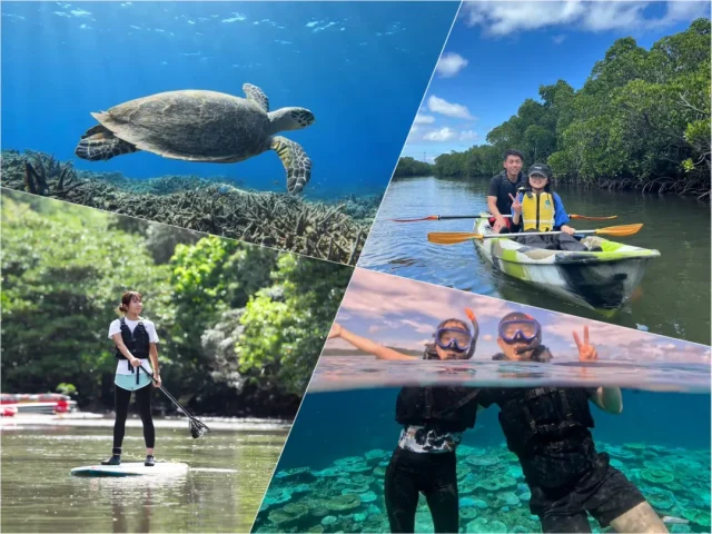 マングローブ、SUP,カヤック、カヌー、シュノーケリング、ウミガメ、チャーター