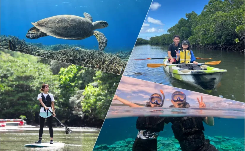 マングローブ、SUP,カヤック、カヌー、シュノーケリング、ウミガメ、チャーター
