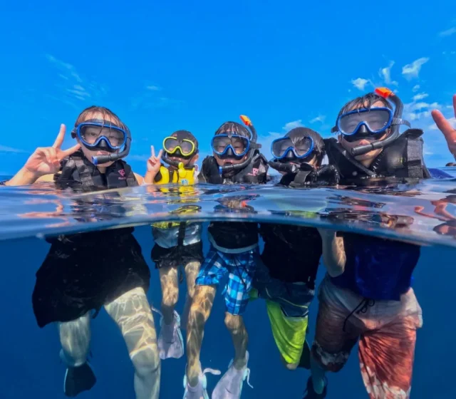 シュノーケリング、ウミガメ、チャーター