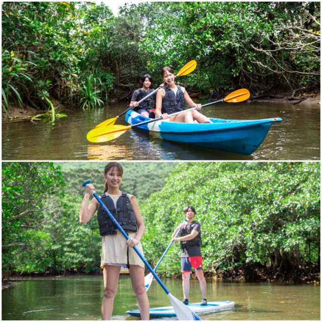 マングローブ、カヌー、カヤック、SUP