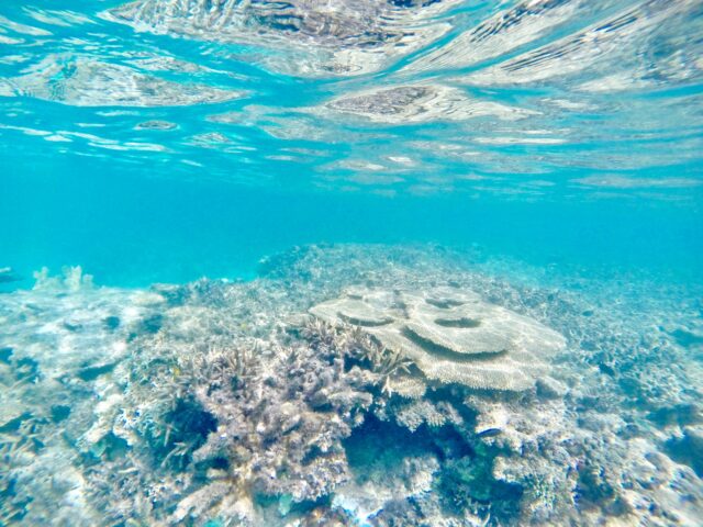 竹富島で過ごす昔ながらの沖縄旅！西表島からの行き方や人気の観光スポットをご紹介