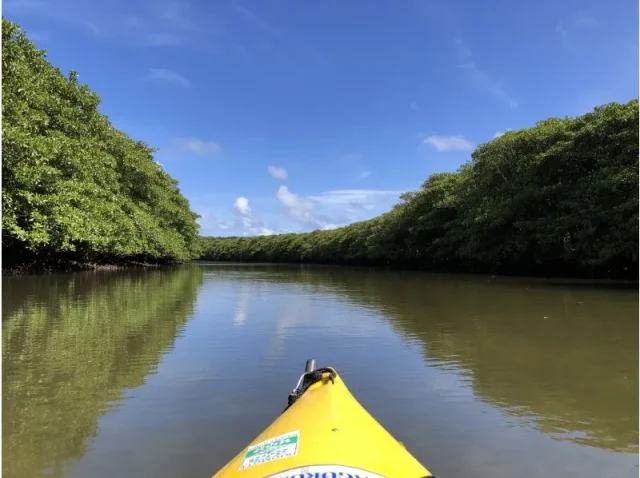 カヌー　ライト　ピナイサーラ　ベストシーズン