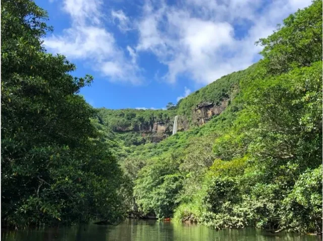 カヌーライト ピナイサーラ　西表島