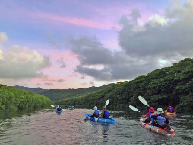 八重山諸島　西表島
