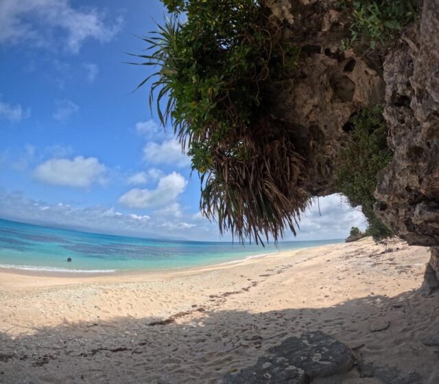 【日帰りOK】西表島・竹富島・離島周遊ツアー完全ガイド｜2島めぐるおすすめプランも