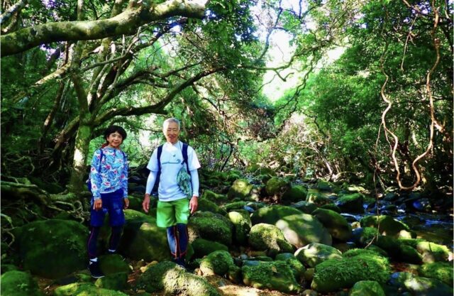 西表島観光にはレンタカー必要？借りる前の注意点・おすすめドライブスポット紹介！