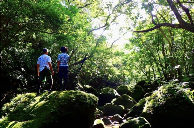 西表島の年間の天気・服装・持ち物を事前に知っておこう！