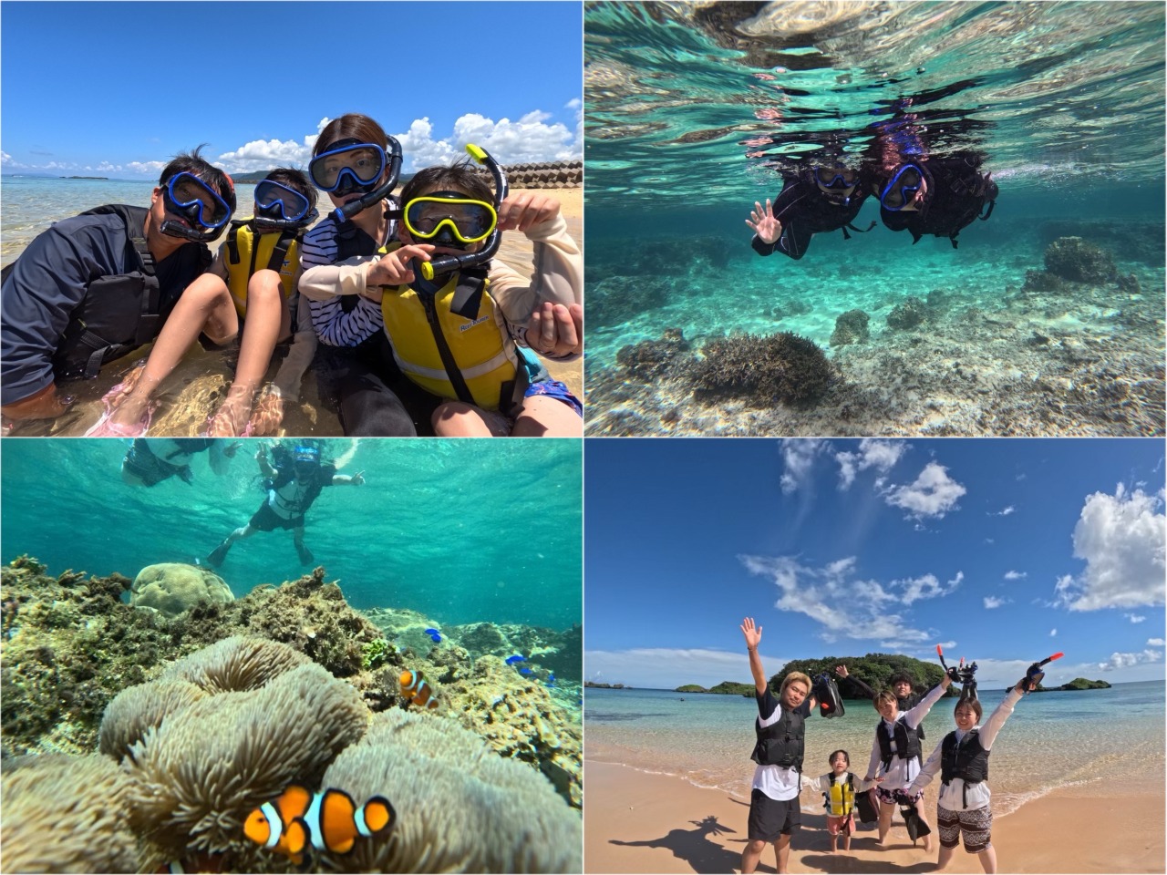 【西表島/約2時間】子供から大人まで夢中で楽しめる☆まるで天然の水族館！トロピカルシュノーケリングツアー★写真無料（No.t-22）