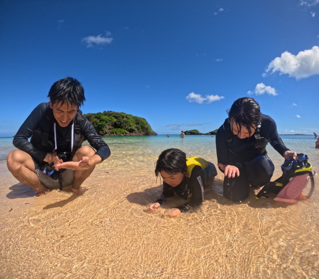 ★冬の特別SALE【西表島/約2.5時間】ニモ・クラッシュに会えるかも！世界自然遺産の西表島で絶景シュノーケリングツアー★写真無料（No.19）