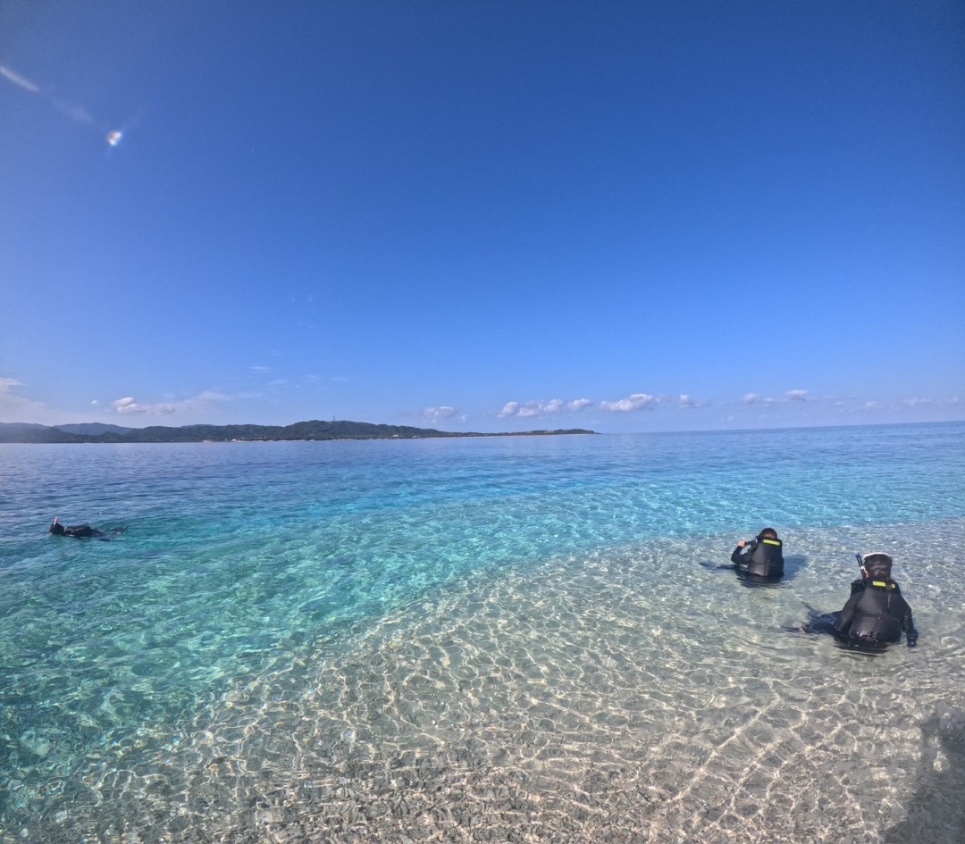 【ツアーズ限定割引】西表島⇆石垣島フェリーチケット付き★バラス島シュノーケリング＆『由布島』水牛車観光ツアー★写真無料（No.544）