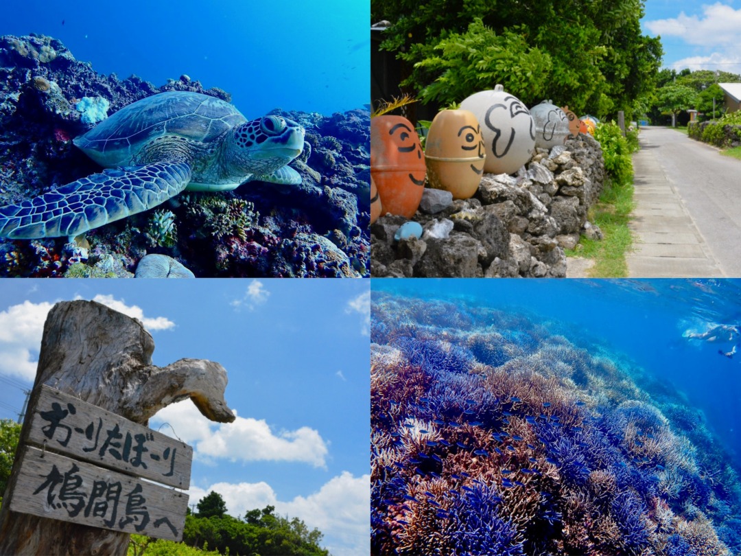 【西表島/約3.5時間】午後から遊べる手付かずの秘境『鳩間島』観光＆シュノーケリングツアー＜ランチ＆写真無料＞ウミガメと高確率で遭遇！八重山屈指の透明度に感動♪（No.94）