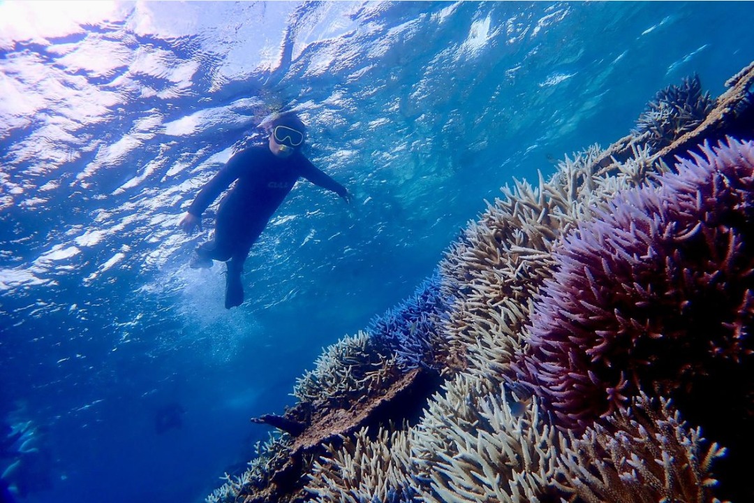 【西表島/1日】手付かずの秘境『鳩間島』観光＆バラス島シュノーケリングツアー＜ランチ＆写真無料＞ウミガメと高確率で遭遇！八重山屈指の透明度に感動♪（No.134）