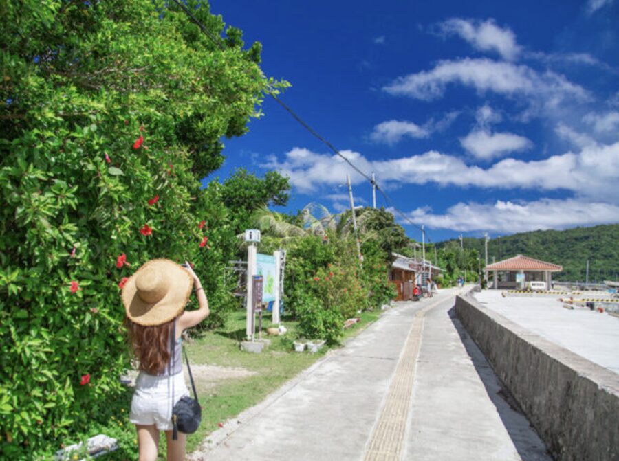 ★冬の特別SALE【西表島/約3時間】地元ガイドと巡る☆世界自然遺産西表島の観光スポットフォトツアー！西表島初めての方や女子旅にもおすすめ《送迎＆写真データ無料》（No.150）