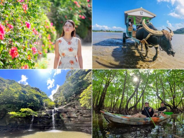 【西表島/1日】隠れた秘境『水落の滝』マングローブカヌー/SUP＆水牛車で渡る『由布島』観光ツアー★写真無料