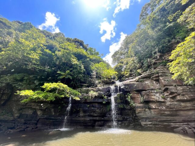 【ツアーズ限定割引】西表島⇆石垣島フェリーチケット付き★隠れた秘境『水落の滝』を目指す！マングローブカヌー/SUP＆水牛車で渡る『由布島』観光ツアー★写真無料