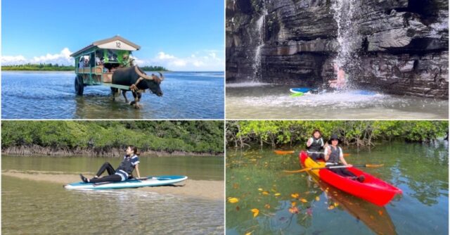 【ツアーズ限定割引】西表島⇆石垣島フェリーチケット付き★隠れた秘境『水落の滝』を目指す！マングローブカヌー/SUP＆水牛車で渡る『由布島』観光ツアー★写真無料