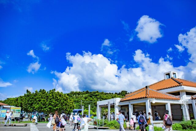 由布島『亜熱帯植物園』の見どころ完全ガイド♪水牛に揺られながら楽しむ花と緑の楽園