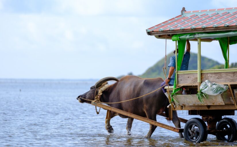 水牛車