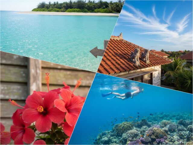 西表島の海と集落、自然を感じる風景