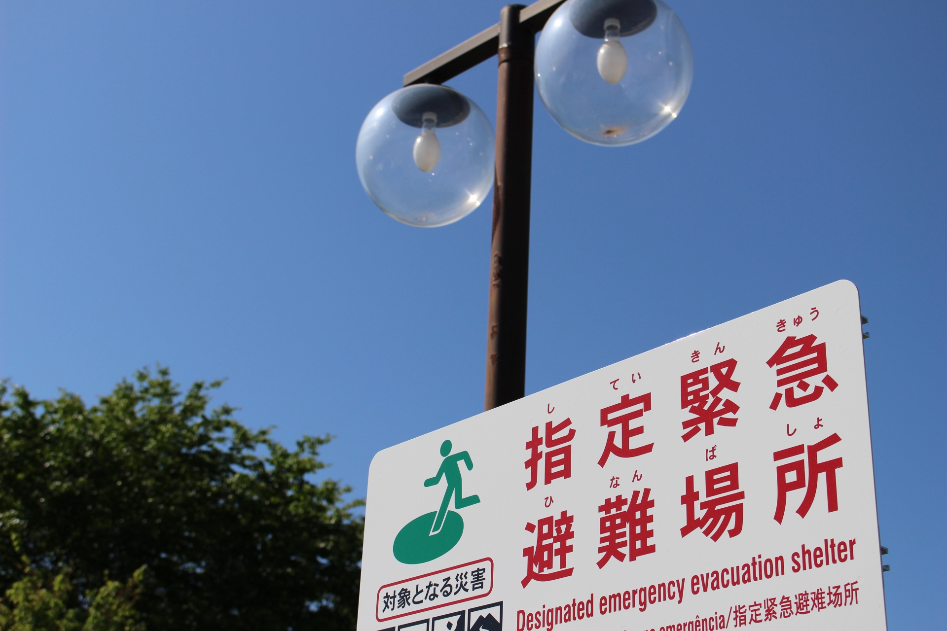 地震,避難