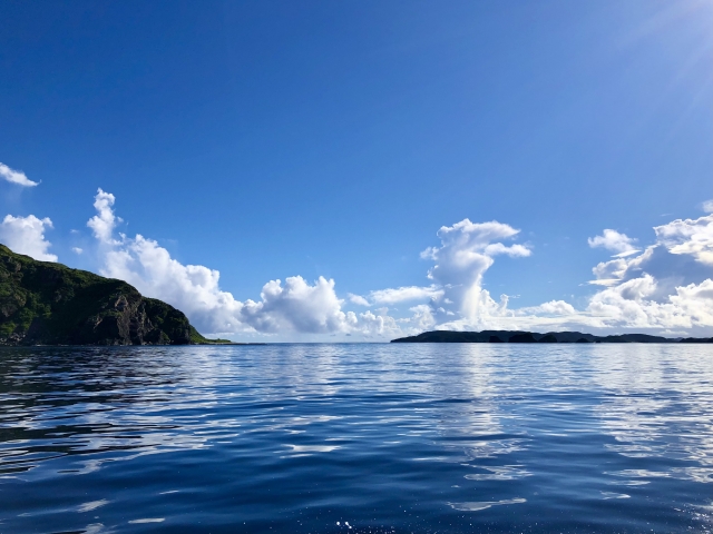 海況　チェック