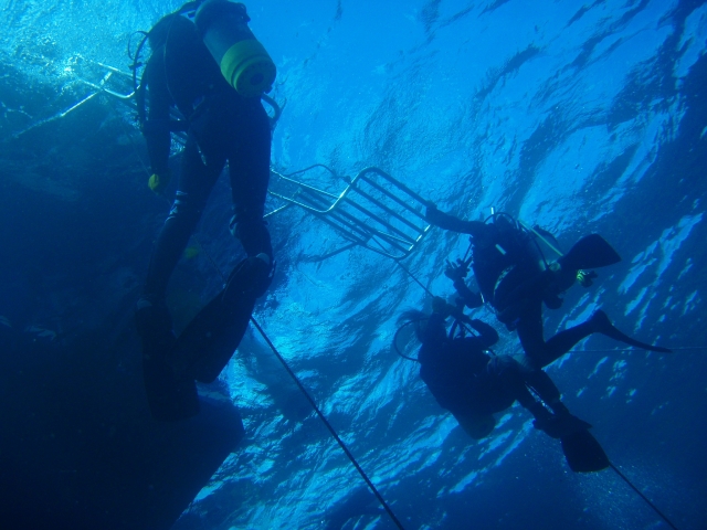 安全　停止　判断