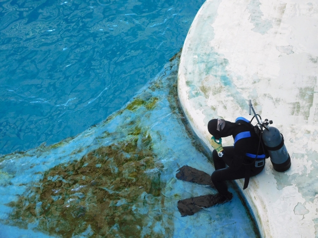 ダイバー　上級者　中級者