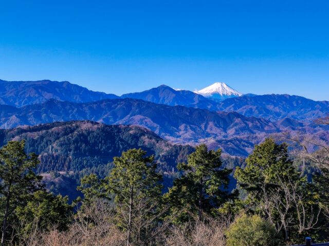 高尾山からの眺め