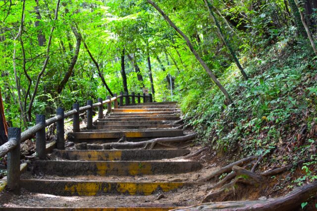 高尾山　登山道