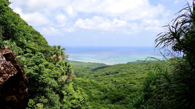 西表島　風景　自然