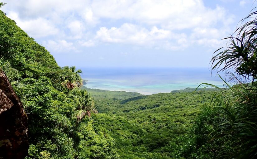 西表島　風景　自然