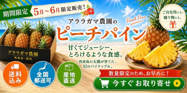 西表島のパイナップル