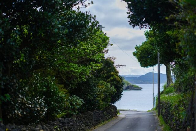 西表島 クリスマス　祖納