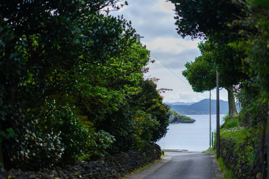 西表島　祖納