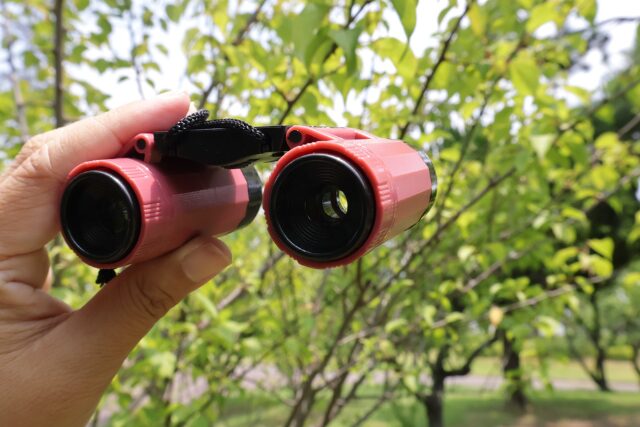 双眼鏡 観察