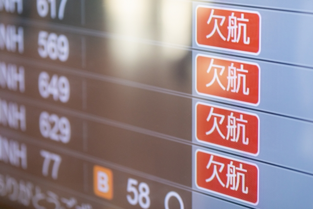 西表島フェリー　掲示板　欠航　