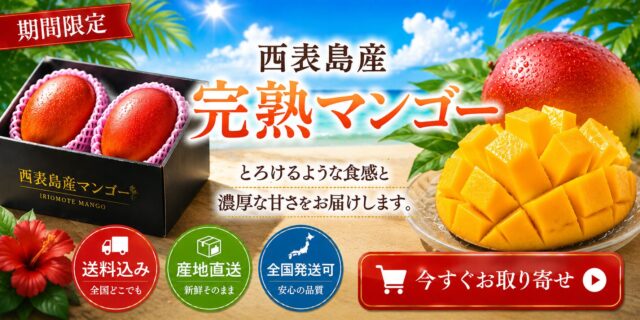 西表島のマンゴー通販