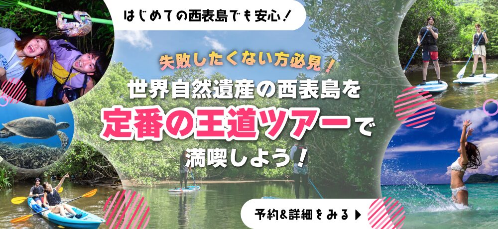 西表島王道ツアーKV_pc