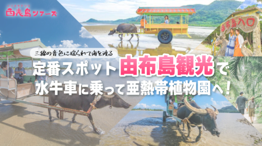由布島KV_sp